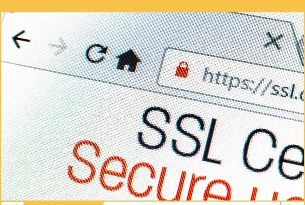 The WordPress Site Is Losing Money Without an SSL Certificate