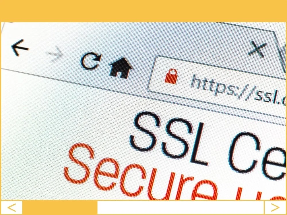The WordPress Site Is Losing Money Without an SSL Certificate